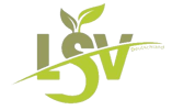 LSV